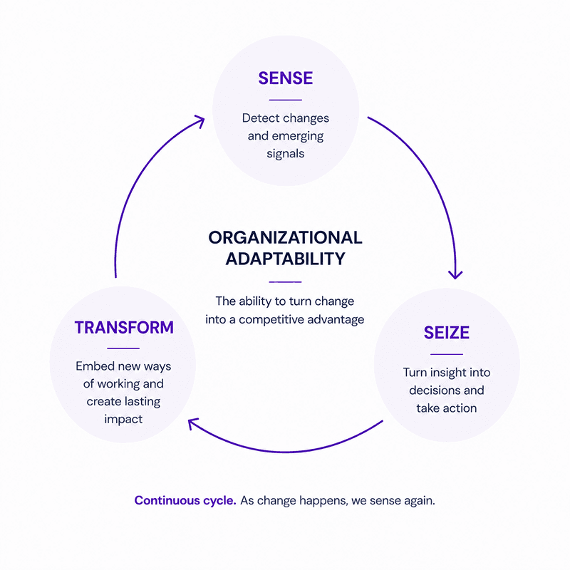 digital transformation capability maturity model framework